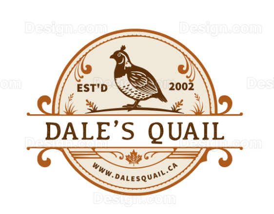 Dale's Quail